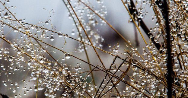 Synoptyk IMGW: pogorszenie pogody, możliwe intensywne opady i silny wiatr