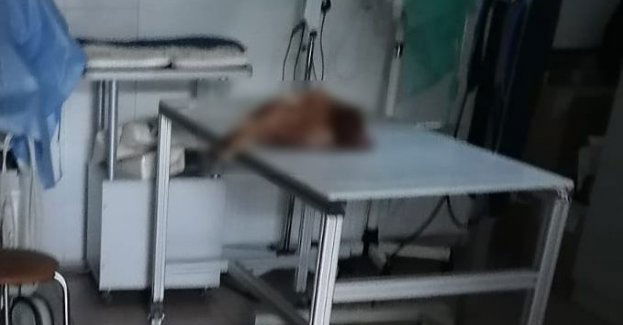 Odpowie za znęcanie się nad kurą ze szczególnym okrucieństwem