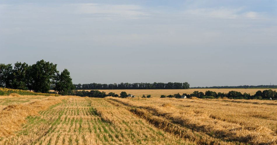 zdjęcie: Walka i męczeństwo to dwa ważne wymiary losów polskiej wsi / v7091894