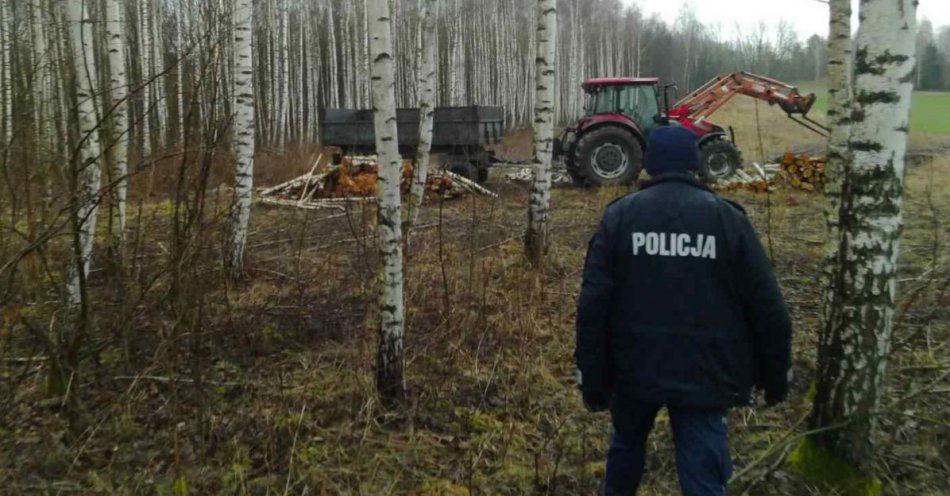 zdjęcie: Dzielnicowi ustalili i zatrzymali sprawców usiłowania kradzieży drewna / fot. KMP w Olsztynie