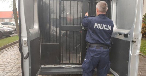 Dwie osoby poszukiwane zatrzymane w dniu 31 maja 2023 roku