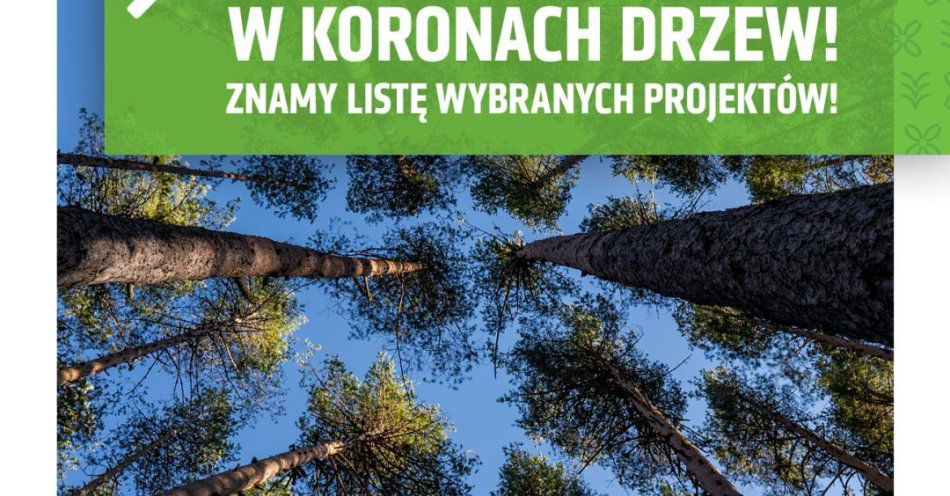 zdjęcie: 30 projektów zadba o drzewa w Lublinie / fot. nadesłane
