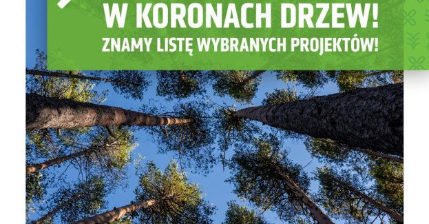 30 projektów zadba o drzewa w Lublinie