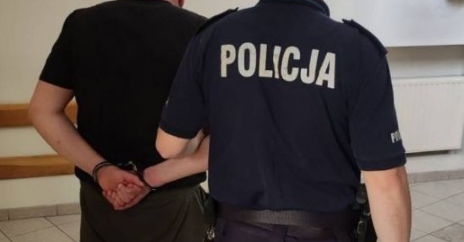 zdjęcie: Podejrzany o podpalenie zatrzymany przez policjantów / fot. KMP w Gdyni