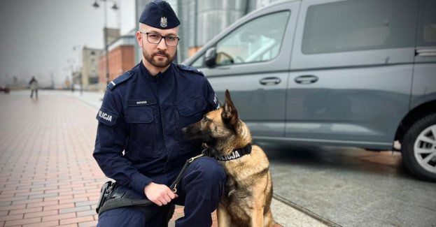 TOGA - specjalistka od wykrywania narkotyków