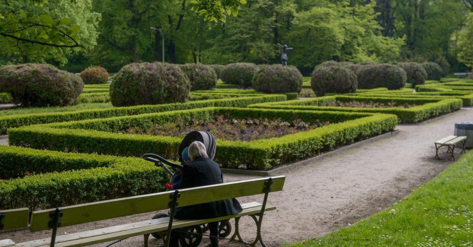 zdjęcie: Zarząd zieleni poszukuje dawnych zdjęć ogrodu daliowego w Parku Skaryszewskim / fot. PAP