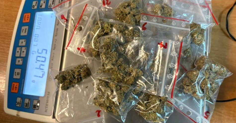 zdjęcie: Narkotyki i skradziona przyczepka odzyskane przez policję w Łosicach / fot. KPP w Łosicach