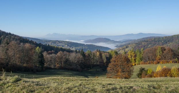 Rzeki Soła i Koszarawa opadły poniżej stanów ostrzegawczych