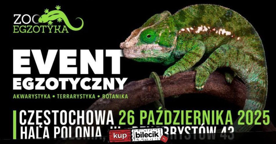 zdjęcie: ZooEgzotyka / kupbilecik24.pl / ZooEgzotyka