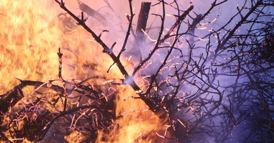 zdjęcie: Pożar traw i lasu w powiecie gryfińskim / pixabay/1669266