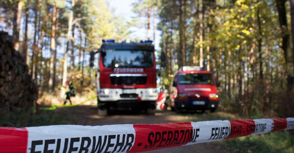 zdjęcie: Strażacy ostrzegają przed zagrożeniem pożarowym w lasach / pixabay/4784603