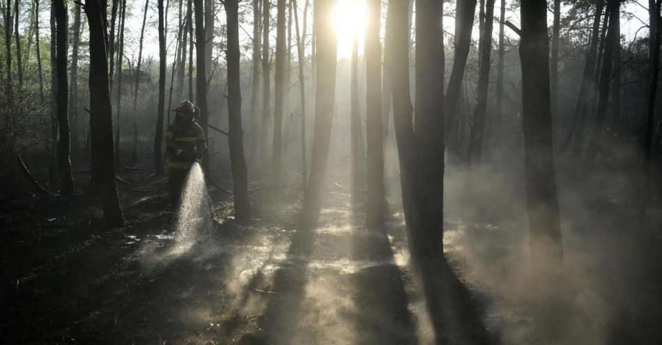 zdjęcie: W najbliższych dniach duże zagrożenie pożarowe lasów / fot. PAP