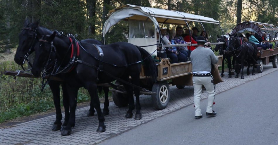 zdjęcie: Będą testy busa elektrycznego, ale konie zostają / fot. PAP