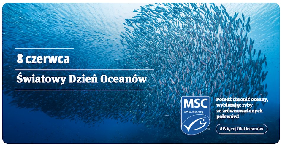 zdjęcie: Zrównoważone połowy znaczą więcej dla oceanów. 8 czerwca - Światowy Dzień Oceanów / fot. nadesłane