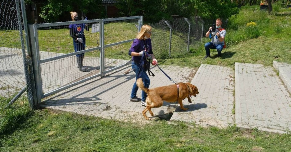 zdjęcie: Zaszkodzą zwierzętom; ratusz: nowe pomysły nie muszą być gorsze / fot. PAP