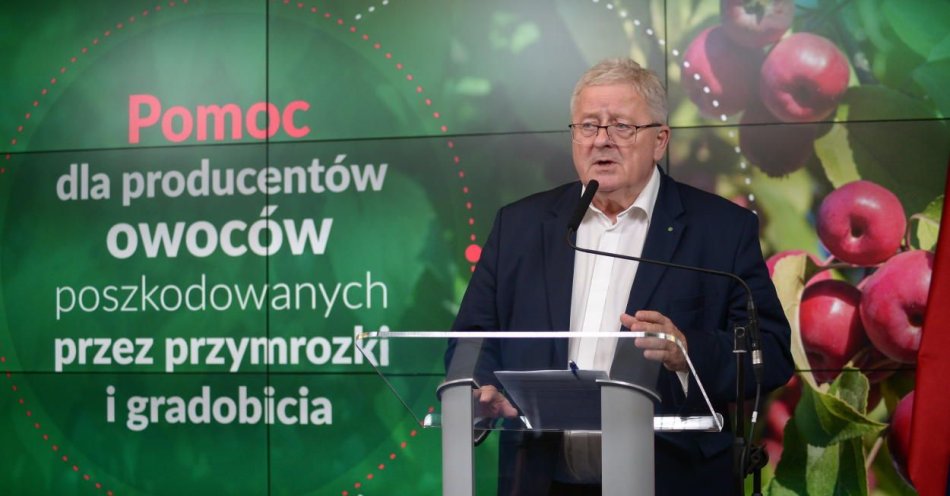 zdjęcie: KE przydzieliła Polsce 37 mln euro na pomoc dla właścicieli sadów i winorośli / fot. PAP