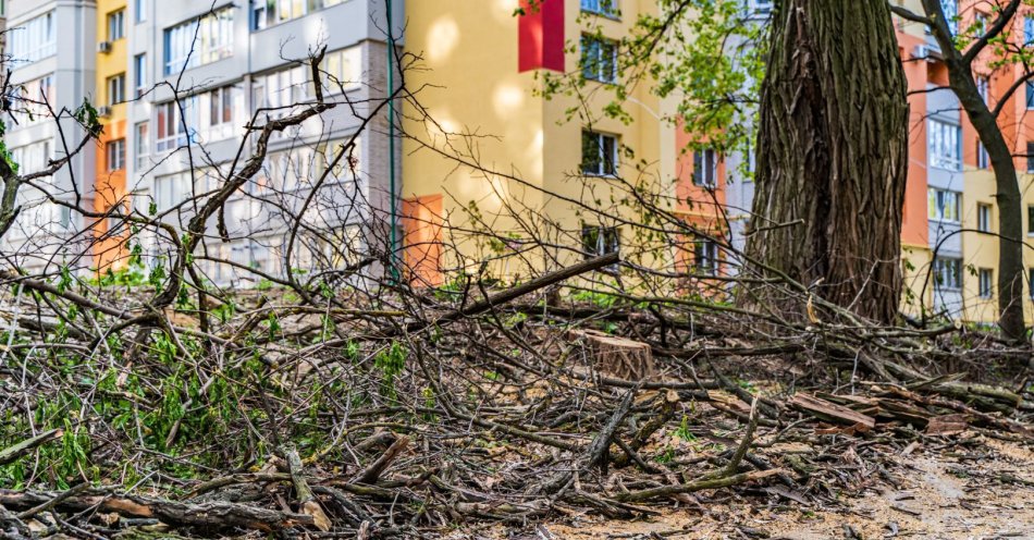 zdjęcie: Przeszedł front burzowy; zalane budynki i drogi, połamane drzewa i zerwane dachy / v40835964