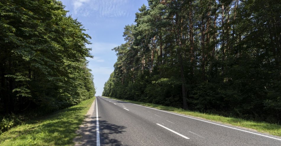 zdjęcie: Wypadek śmiertelny na trasie Barczewo- Jeziorany / v11637236