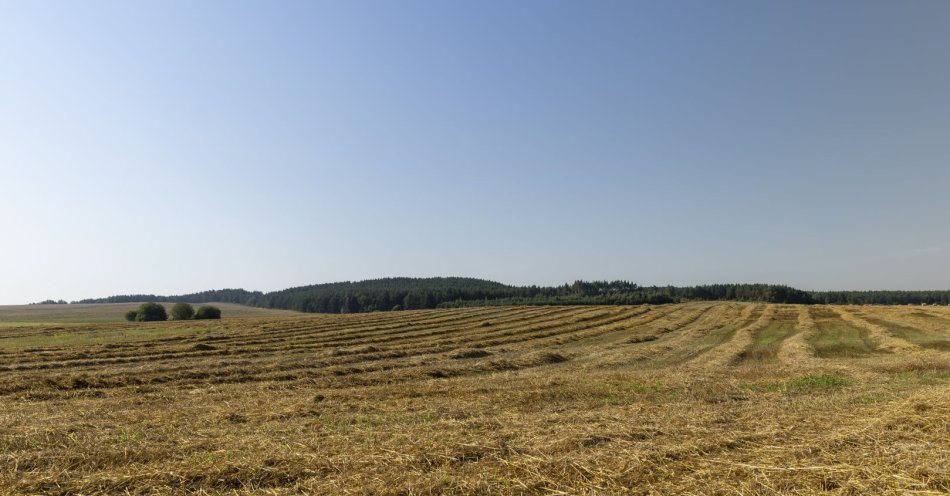 zdjęcie: Śmiertelny wypadek podczas pracy na polu koło Szprotawy / v11629846