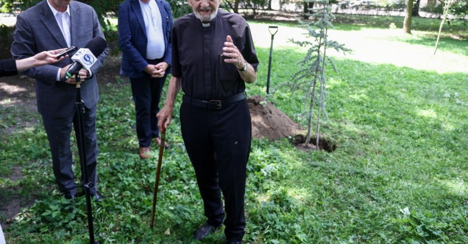 zdjęcie: Na Plantach posadzono urodzinowy cedr ks. Adama Bonieckiego / fot. PAP