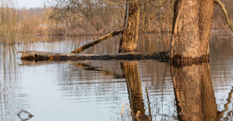 zdjęcie: Stany alarmowe przekroczone na Bobrze, Kwisie, Nysie Łużyckiej i Szprotawie / v14983680