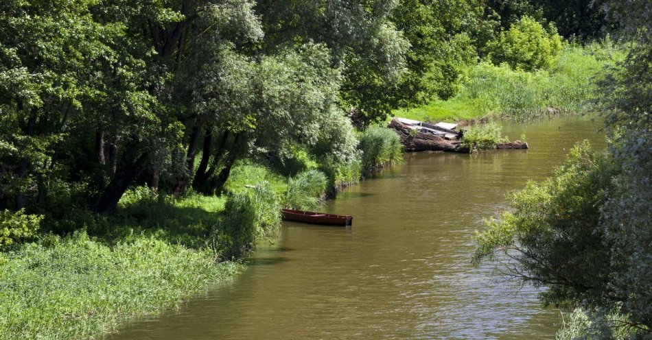 zdjęcie: Rośnie poziom wody na Bobrze w Nowogrodzie Bobrzańskim / v9662137