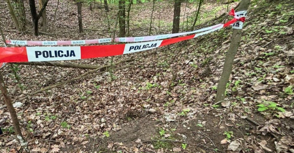 zdjęcie: Spacer w lesie zakończony znalezieniem granatu moździerzowego / fot. KPP Ryki