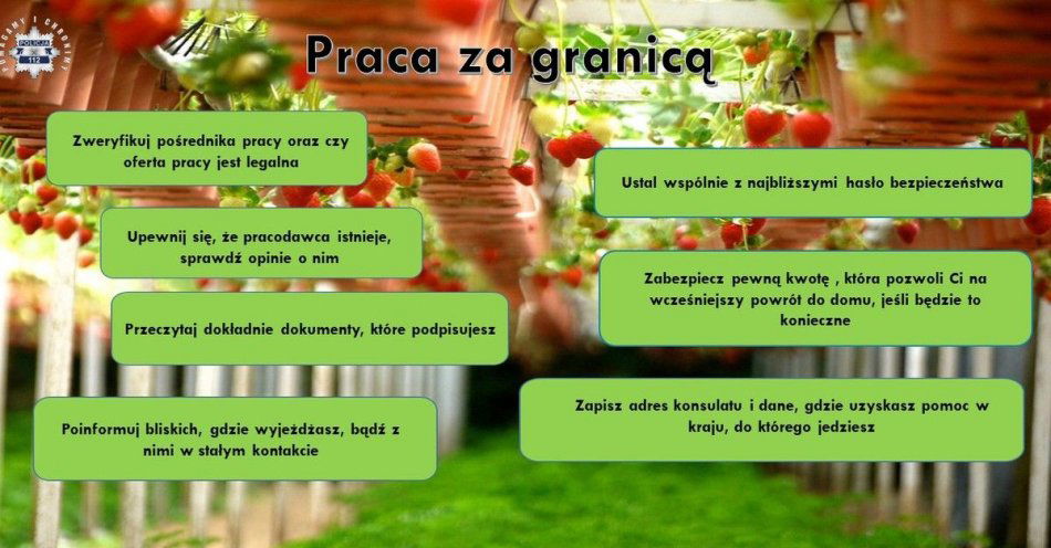 zdjęcie: Praca za granicą - zadbaj o swoje bezpieczeństwo! / fot. KPP Oborniki