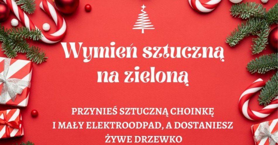 zdjęcie: Wymień choinkę - sztuczną na żywą / fot. nadesłane