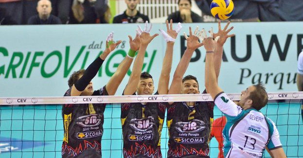 Academy SPS Lębork jest z olbrzymim sukcesem Wielkiego Finału Ogólnopolskich Mistrzostw w Minisiatkówce