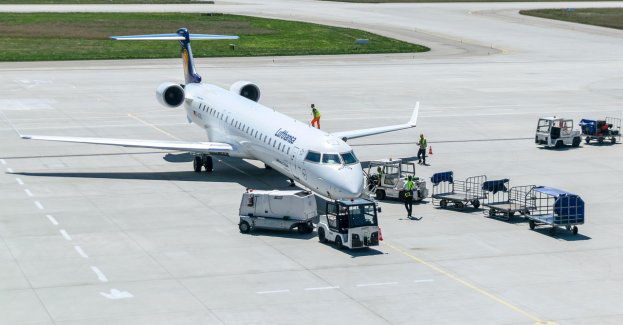Funkcjonariusze oddziału celnego na lotnisku udaremnili przemyt 14 muszli