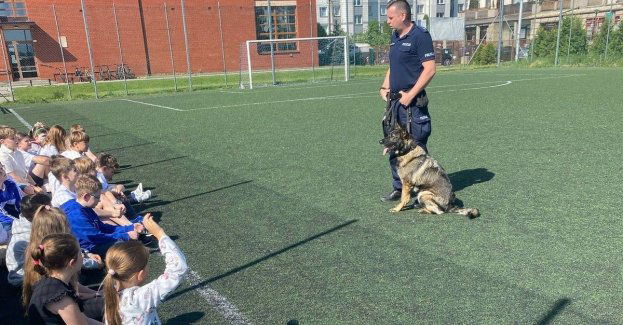 Policyjny pies bohaterem dnia