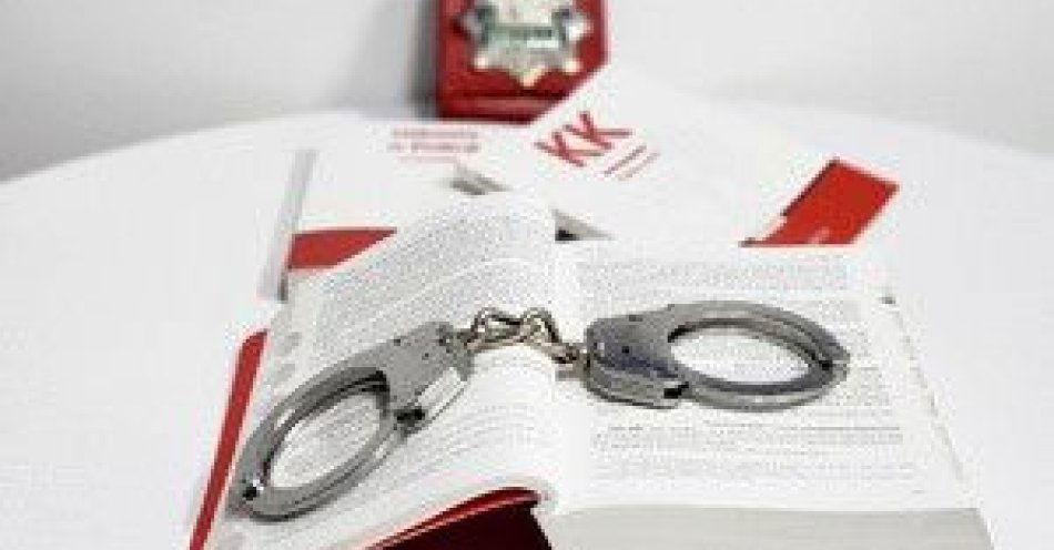 zdjęcie: Pijany kierowca z promilami w rowie zatrzymany przez policję / fot. KPP w Mielcu fot. B. Krawczyk