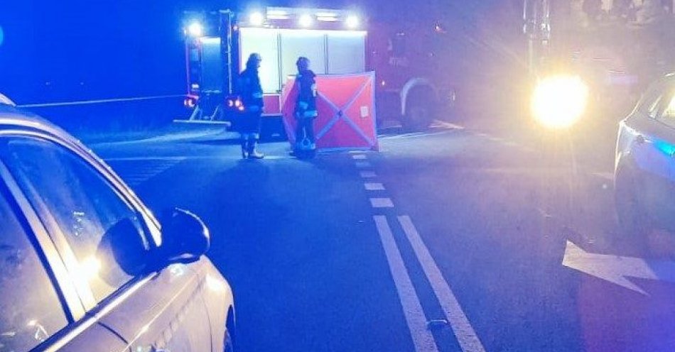 zdjęcie: Śmiertelne potrącenie pieszego w Jasieniu. / fot. KPP w Lipnie