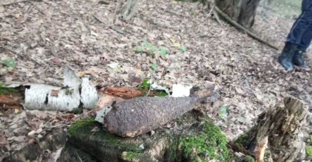 Granat moździerzowy odnaleziony w lesie podczas grzybobrania