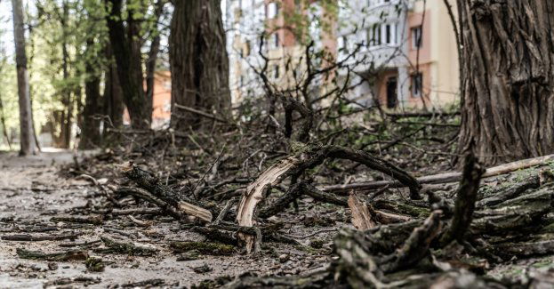 Burze przechodzą nad regionem; ponad 80 interwencji strażaków