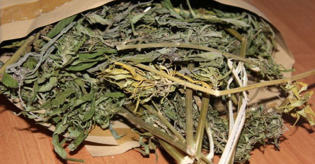 Pod wpływem narkotyków i z narkotykami