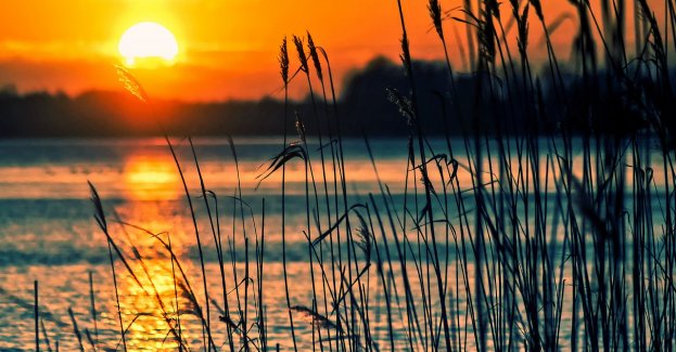 Mężczyzna utonął w zalewie Opoczno