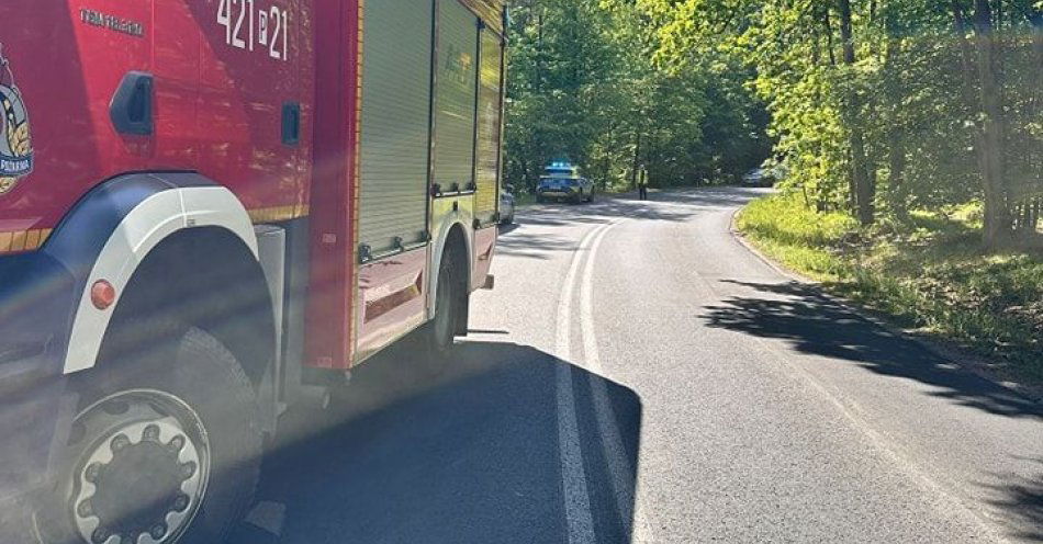 zdjęcie: Tragiczny wypadek w Lipkach / fot. KPP Gniezno