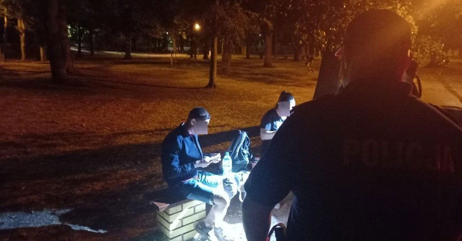zdjęcie: Pracowity początek lipca / fot. KPP Środa Wielkopolska