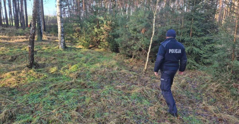 zdjęcie: Mundurowi kontrolują lasy i punkty sprzedaży choinek / fot. KPP Mogilno
