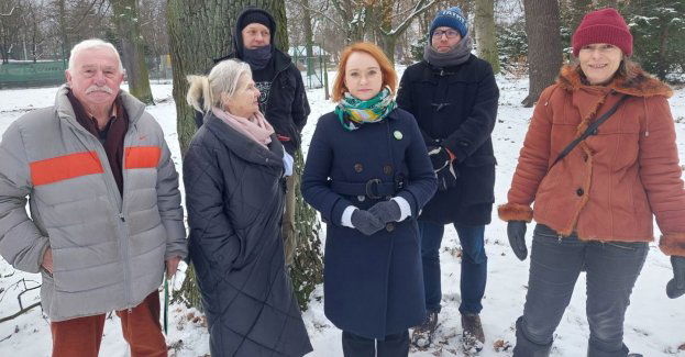 Małgorzata Tracz: wspieram mieszkańców Osiedla Borek w walce o zachowanie zabytkowego i zielonego charakteru Parku Południowego