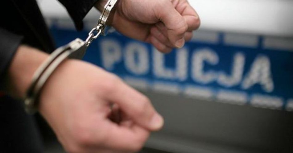 zdjęcie: Siemianowice: policja zatrzymała trzech poszukiwanych / fot. KMP w Siemianowicach Śląskich