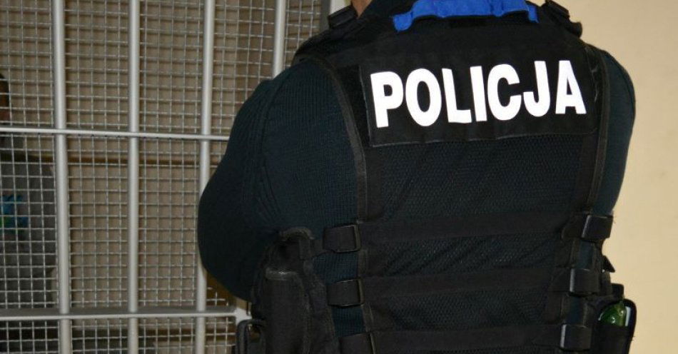 zdjęcie: Rozbój skończył się aresztem i umieszczeniem w zakładzie dla nieletnich / fot. KMP w Gdyni
