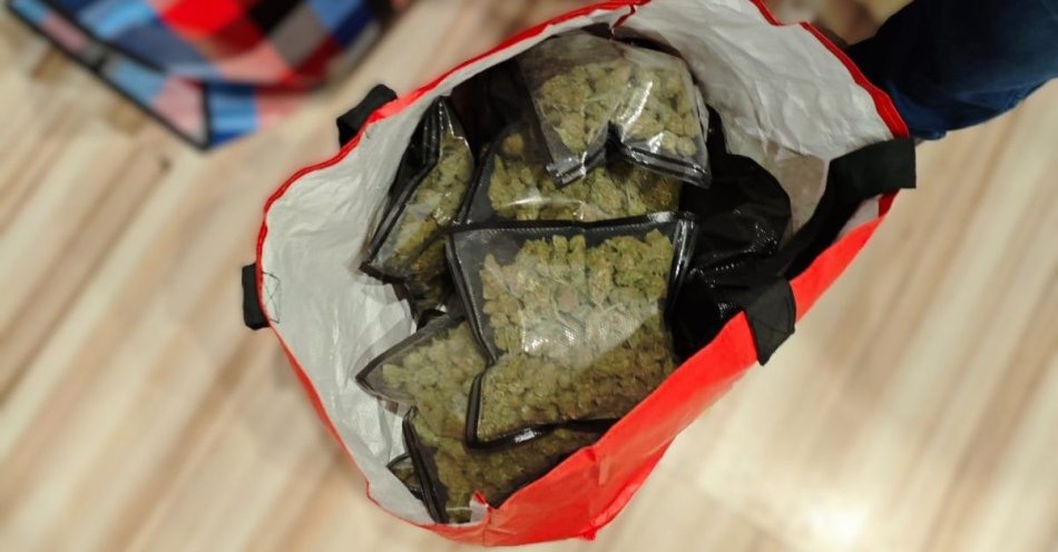 zdjęcie: Ponad 10 kg narkotyków znalezione u dilerów w Toruniu / fot. KMP w Toruniu