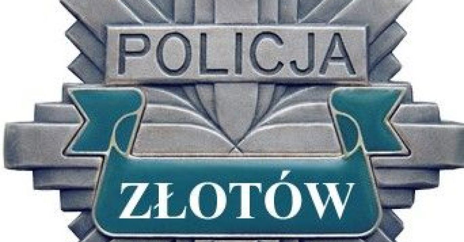 zdjęcie: Trafne decyzje i zatrzymanie przestępcy w trakcie adaptacji zawodowej / fot. KPP Złotów