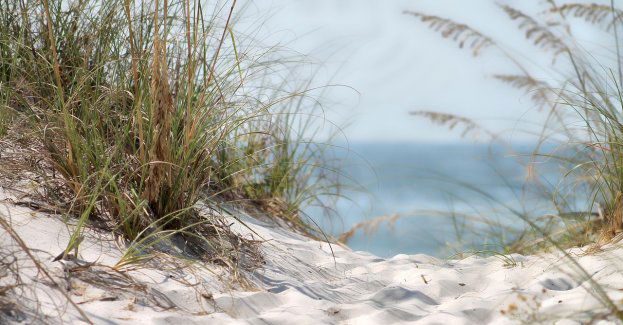 We wszystkich czynnych kąpieliskach woda jest zdatna do kąpieli