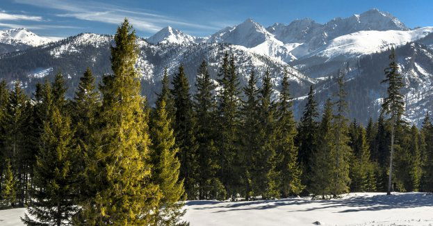 W Tatrach coraz więcej śniegu