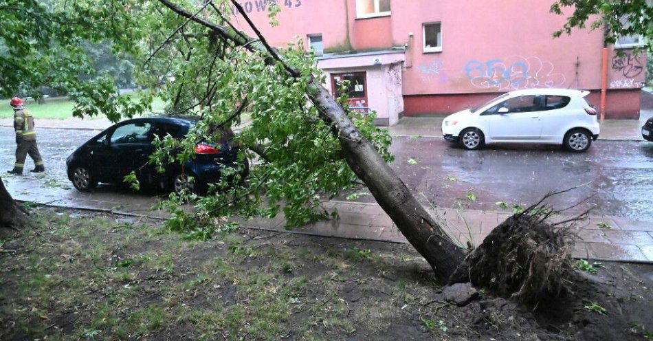 zdjęcie: 846 zgłoszeń w związku z intensywnymi burzami; jedna osoba ranna / fot. PAP