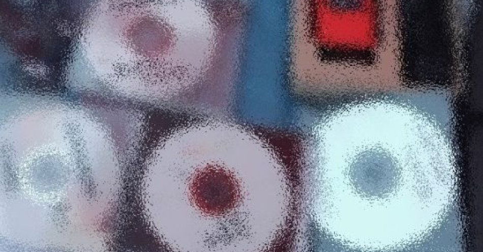 zdjęcie: Kobieta zatrzymana za sprzedaż podrobionych programów diagnostycznych / fot. KMP w Jastrzębiu Zdroju